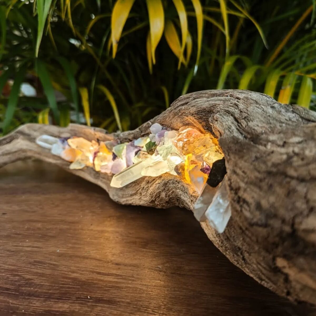 Driftwood and crystal lamp combination